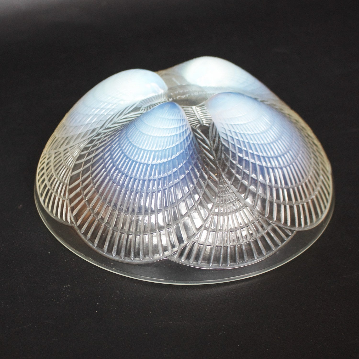 Coupe Coquilles No. 3 Art Deco blue opalescent glass bowl - René Lalique Glass - Jeroen Markies Art Deco