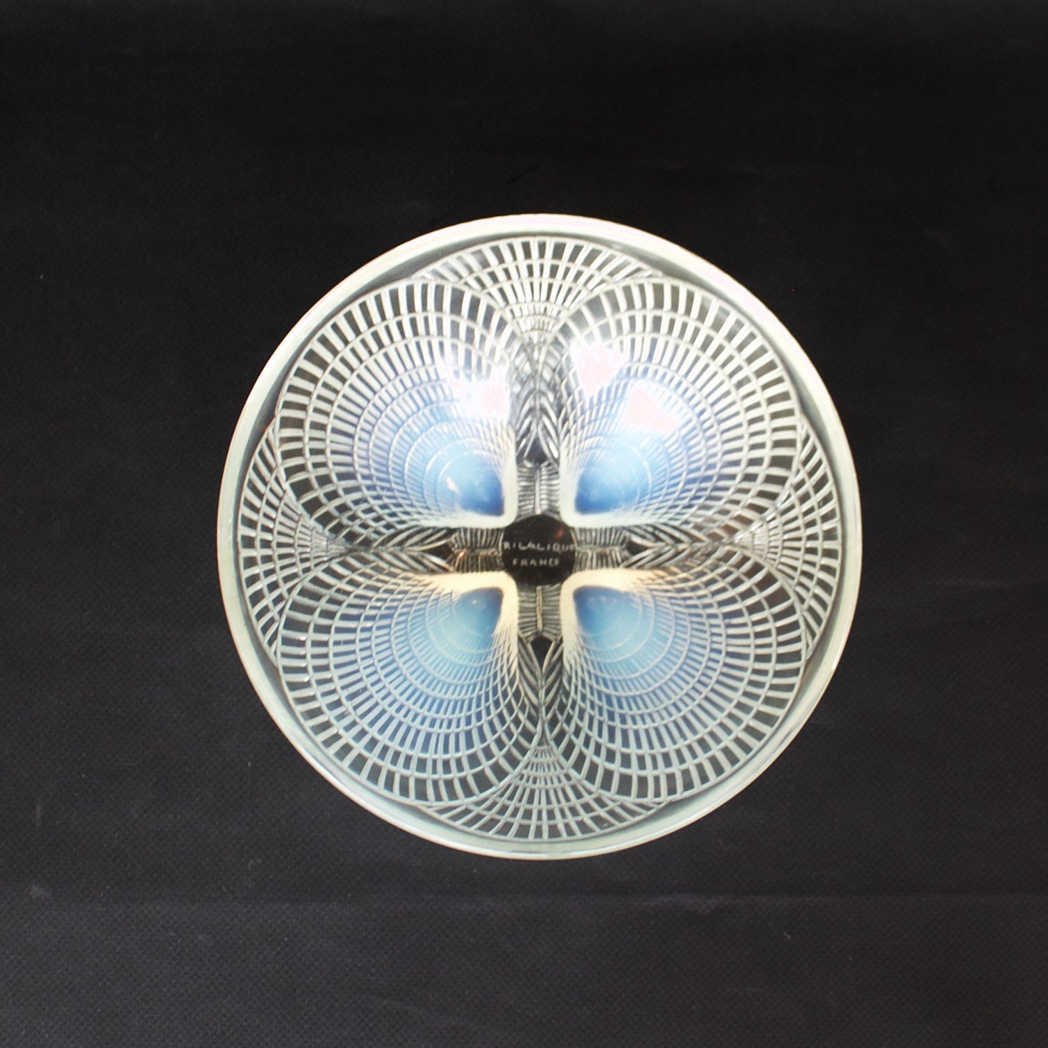 Coupe Coquilles No. 3 Art Deco blue opalescent glass bowl - René Lalique Glass - Jeroen Markies Art Deco