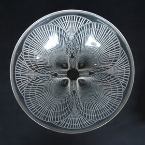 Large Coquilles Bowl