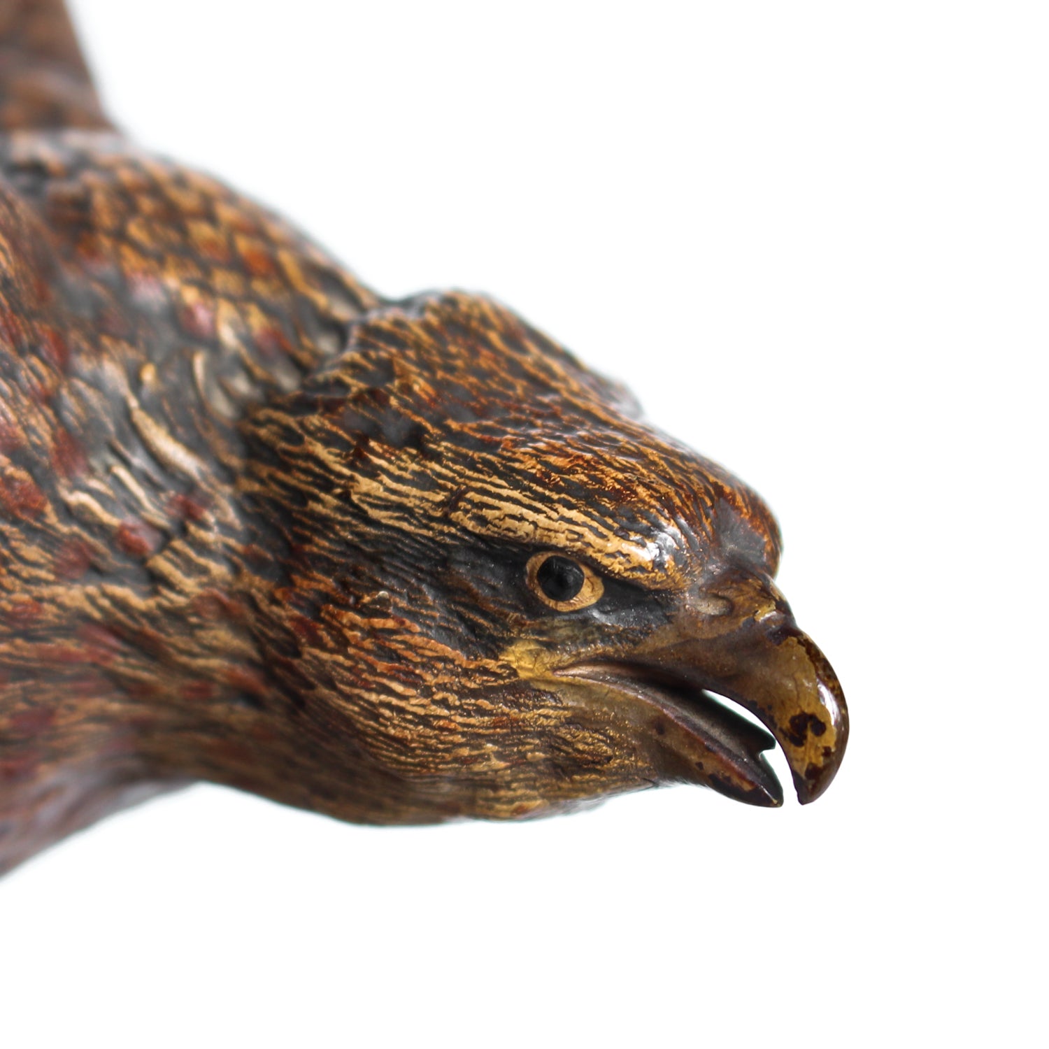 A bronze study of an eagle about to take flight with its wings outspread on the edge of a naturalistic rocky outcrop with excellent colour and fine hand finished detail. Signed with the Bergman ‘B’ to underside of tail at Jeroen Markies.