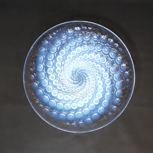 Volutes