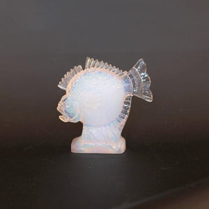 Glass Fish