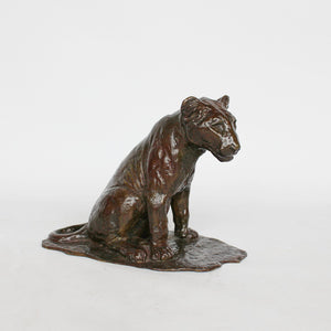 Lionceau Assis
