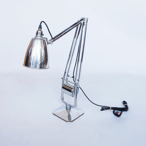 Counterpoise Barrel Desk Lamp