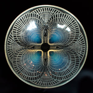 Coquilles Bowl
