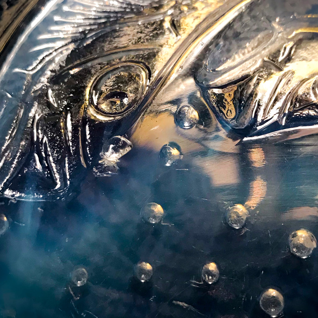 "Poissons No.1"