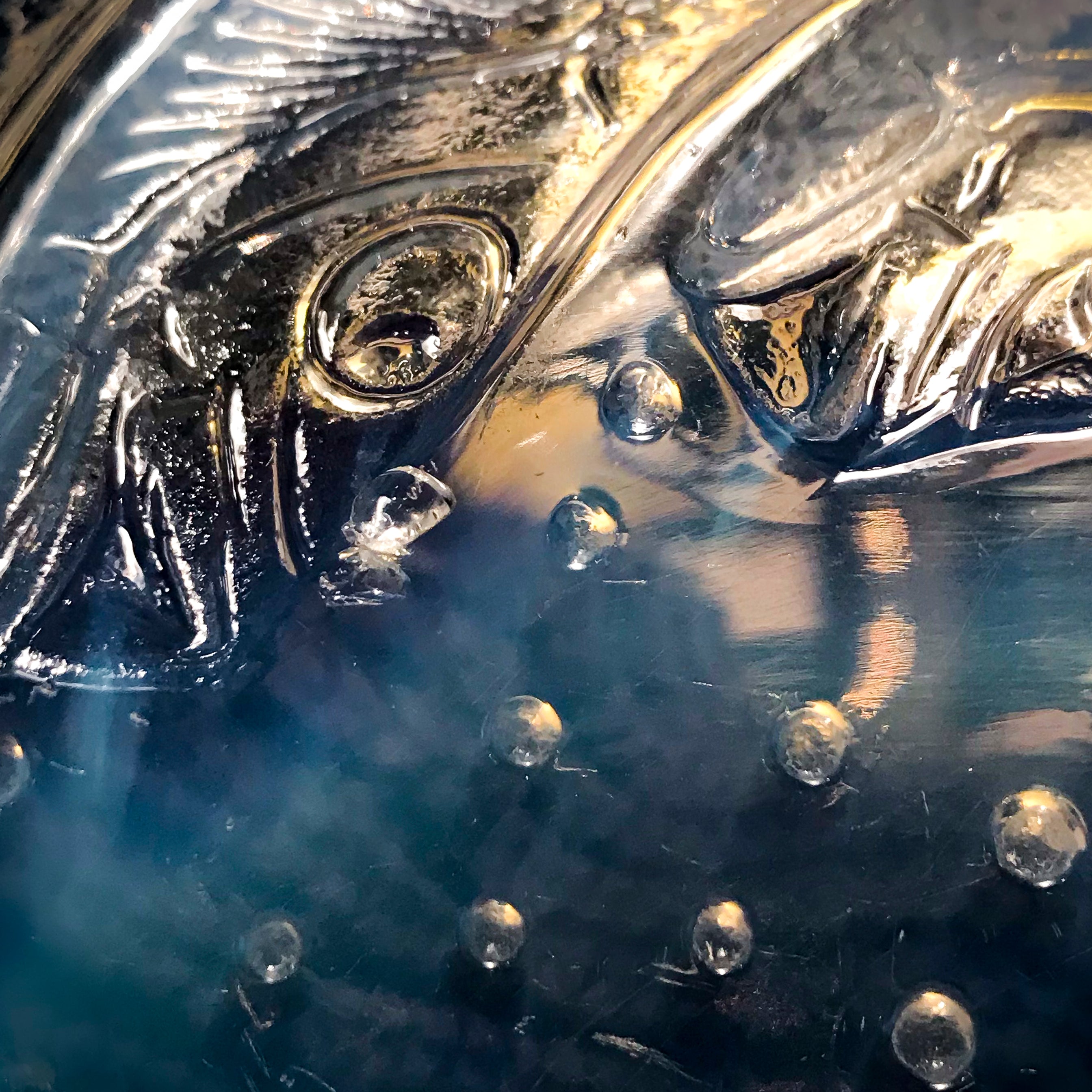 "Poissons No.1"