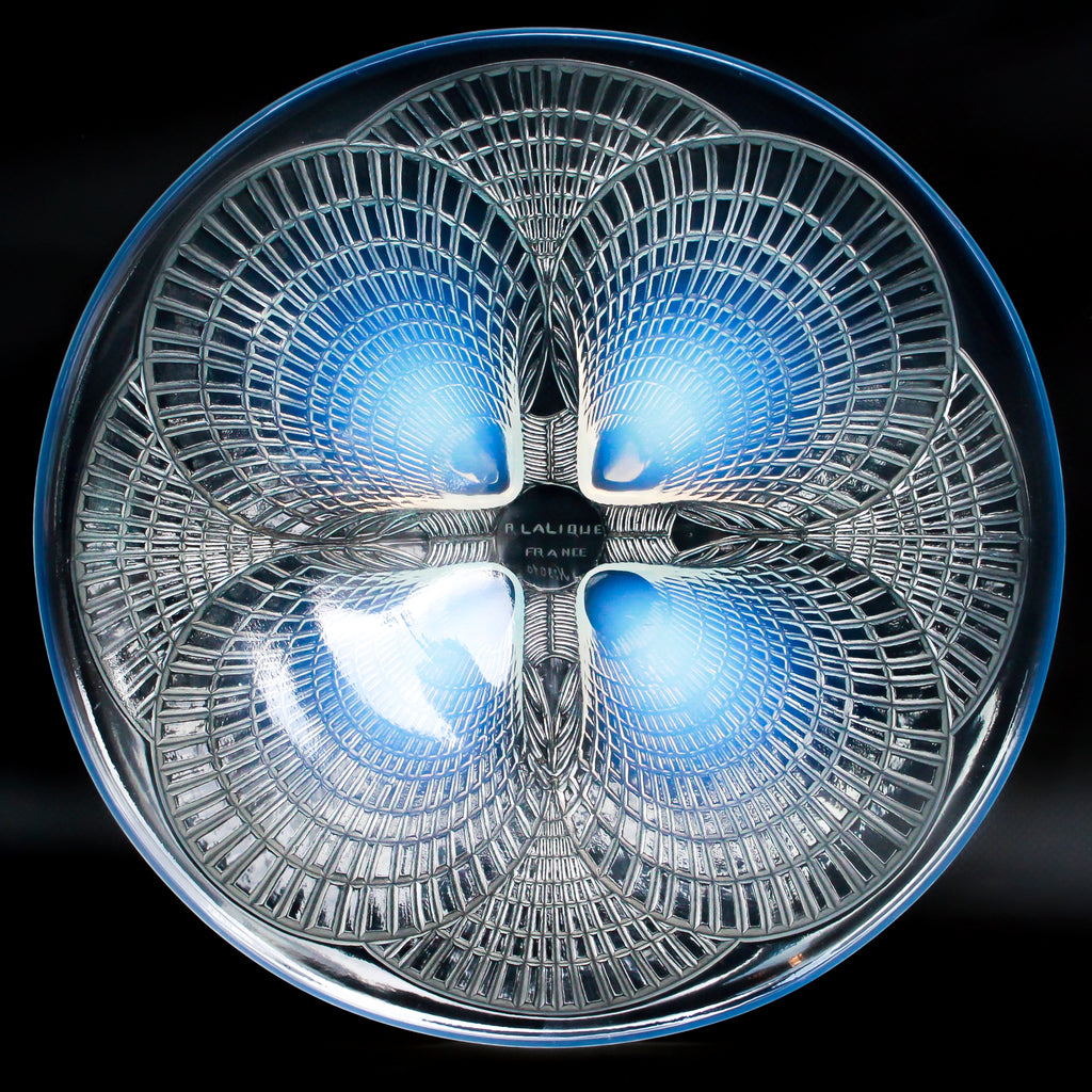 "Coquilles No.3"