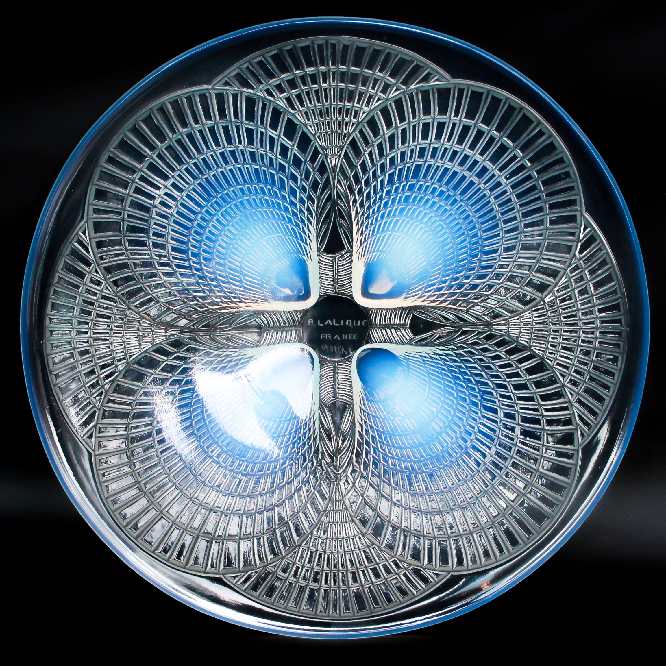 "Coquilles No.3"