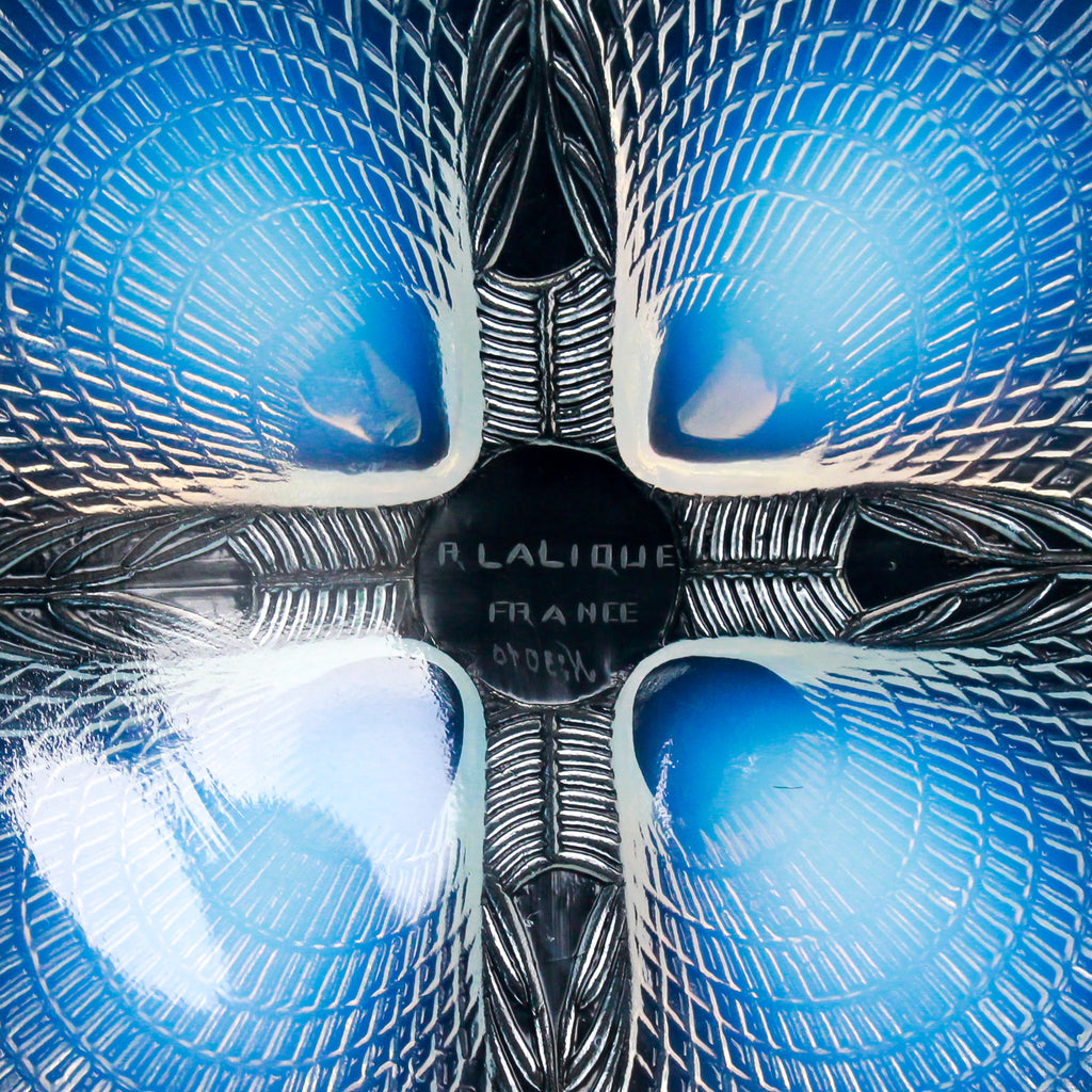 "Coquilles No.3"