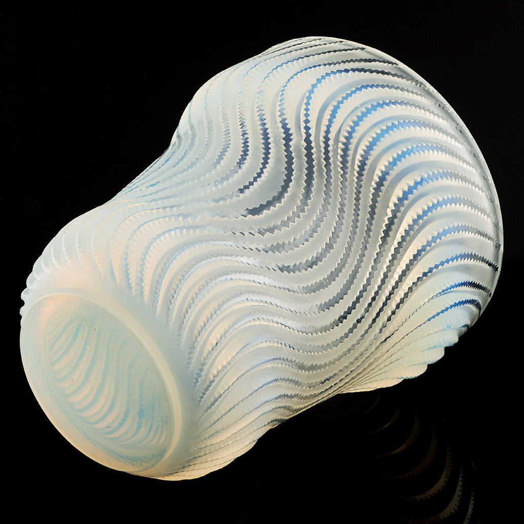 Actinia Vase