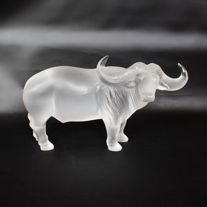 'Nam' Water Buffalo