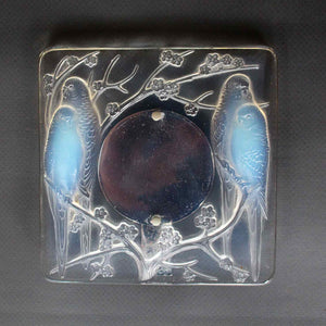 Inséparables Frame