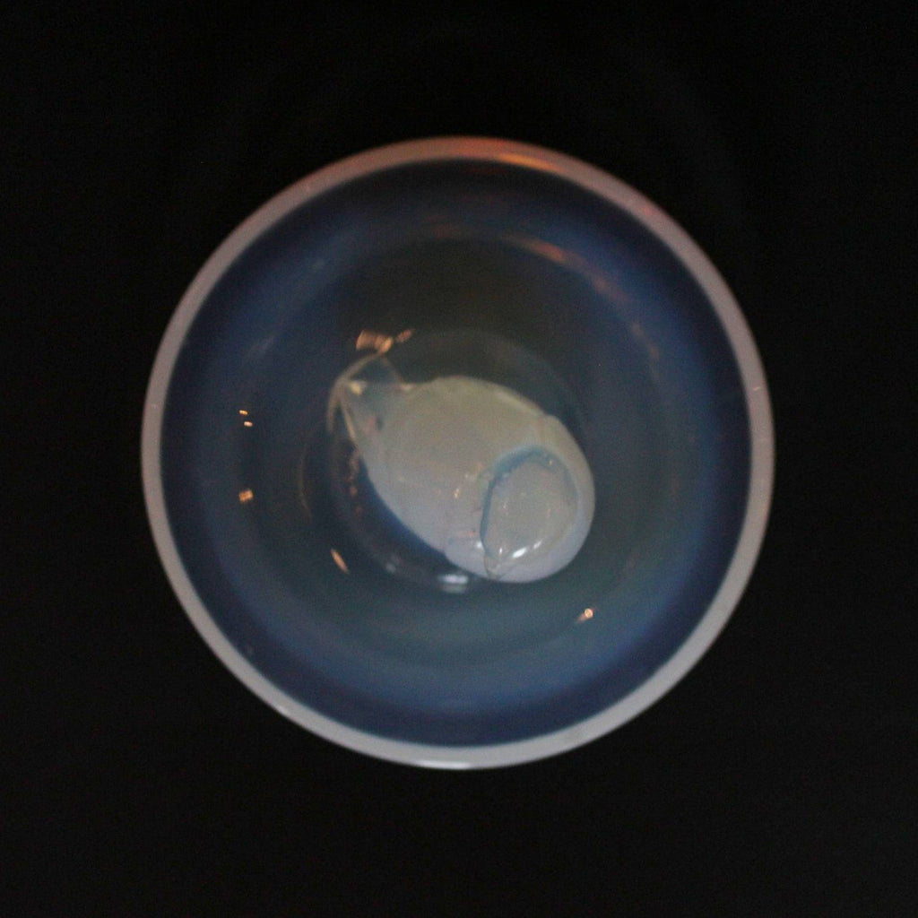 Rene Lalique Art Deco Moineau Sparrow glass dish circa 1925 at Jeroen Markies