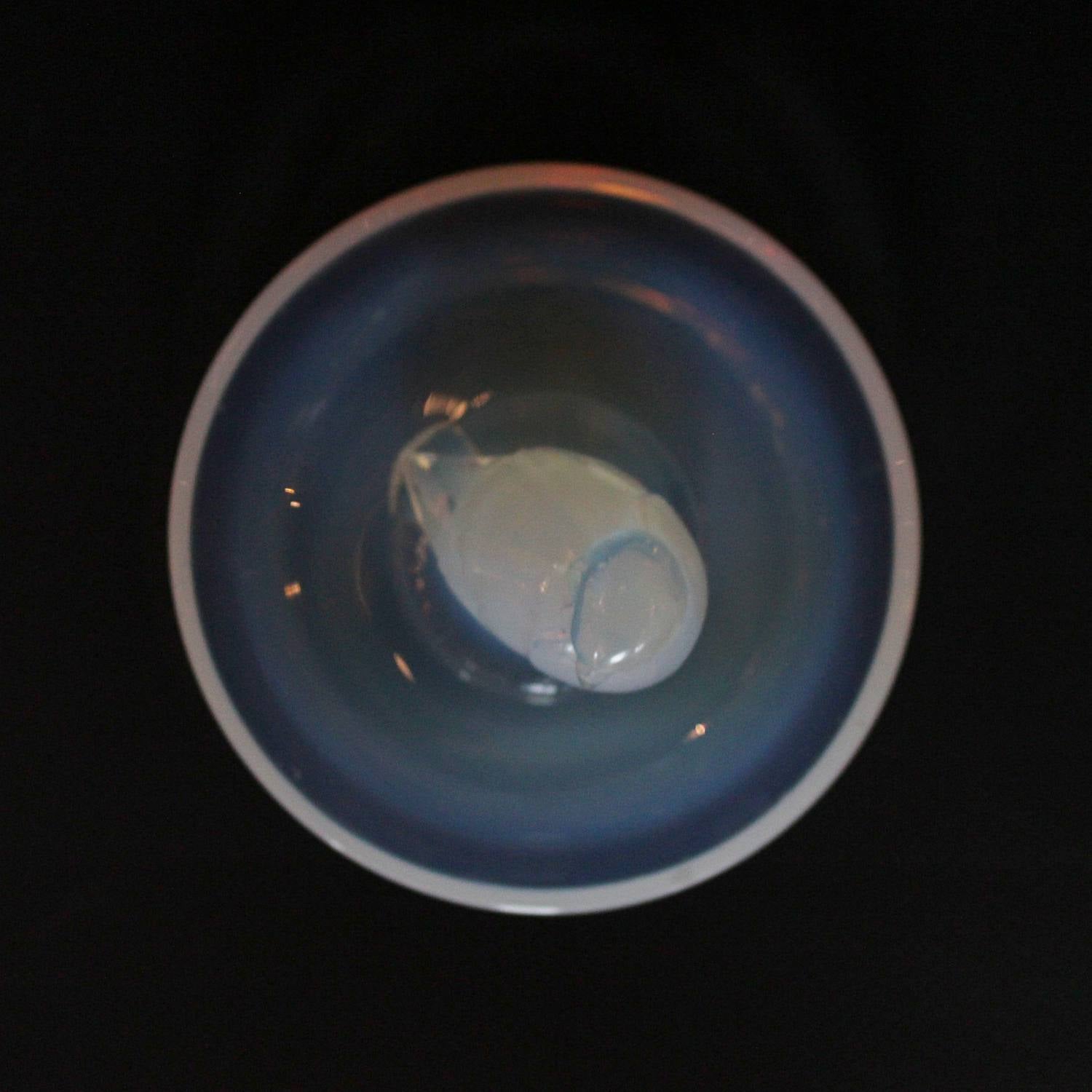 Rene Lalique Art Deco Moineau Sparrow glass dish circa 1925 at Jeroen Markies