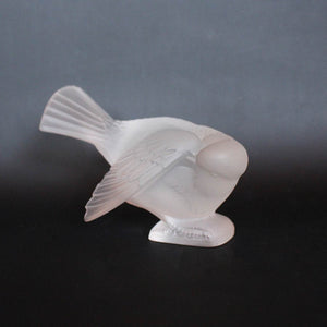 Moineau Coquet