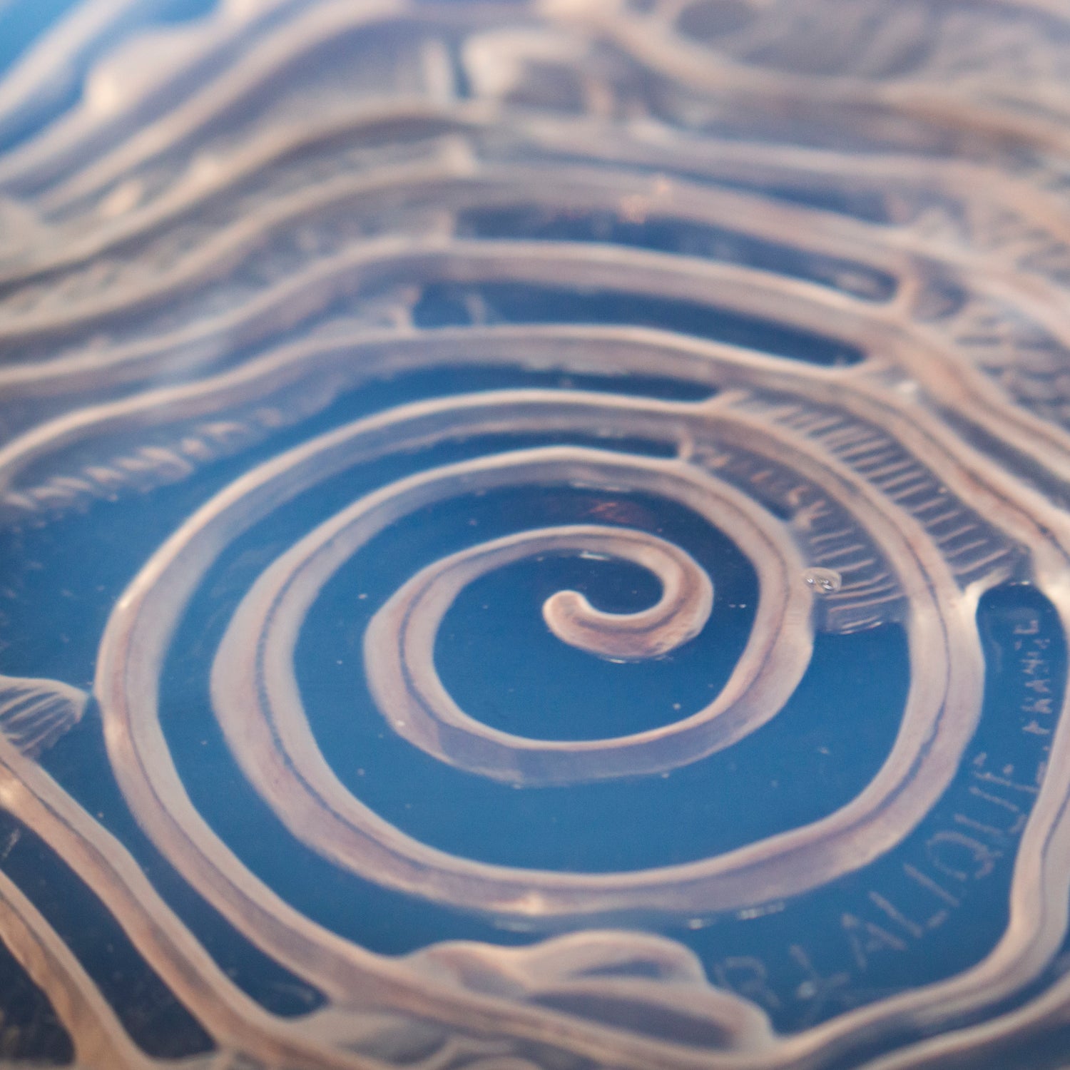 Dauphins - Art Deco Glass Bowl - René Lalique Glass - Jeroen Markies Art Deco