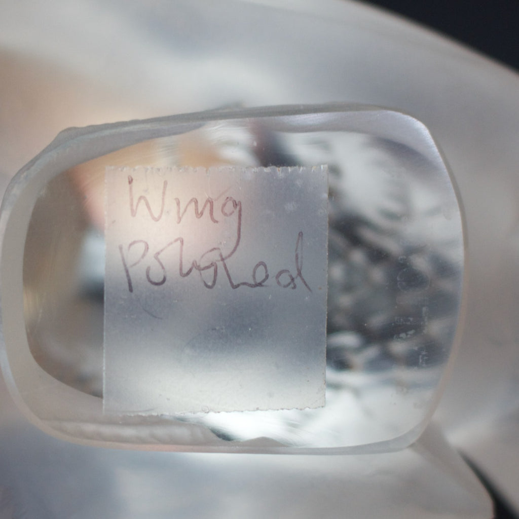 Moineau Moqueur - René Lalique Glass - Jeroen Markies Art Deco