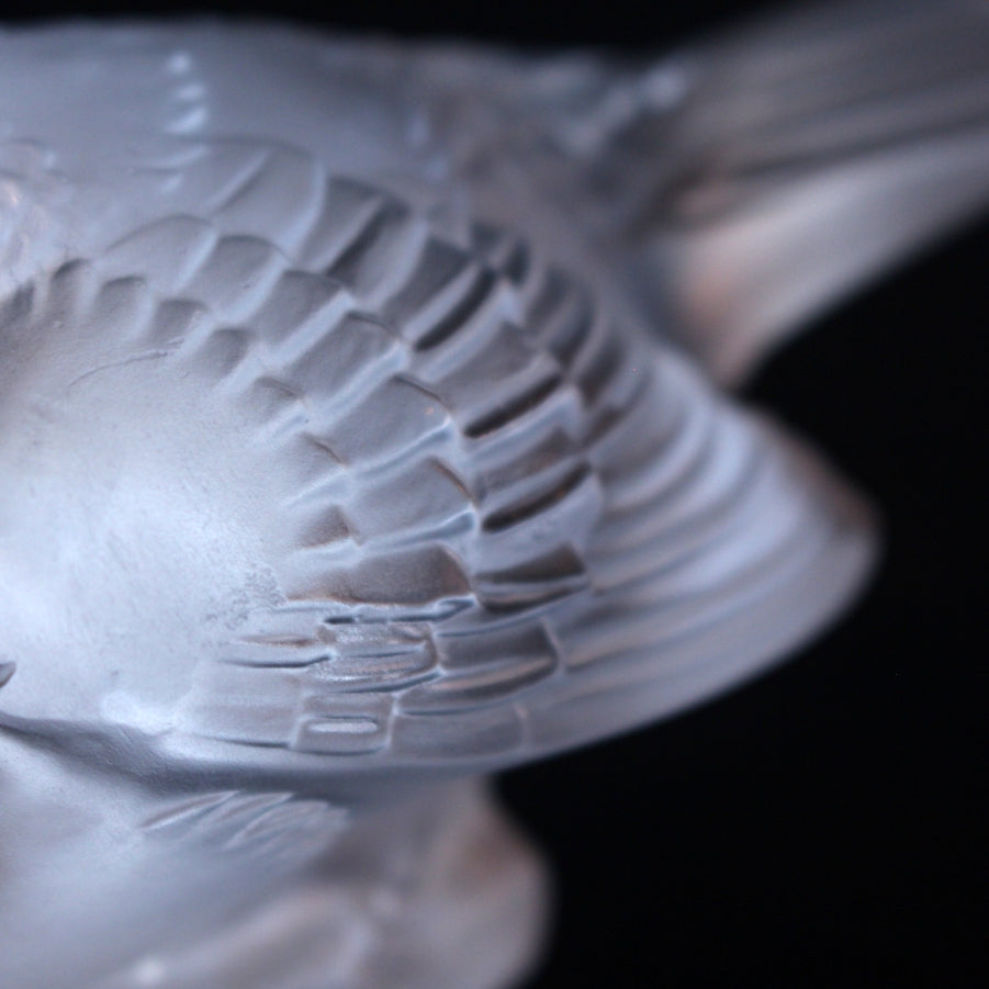 Moineau Hardi Glass Paperweight at Jeroen Markies