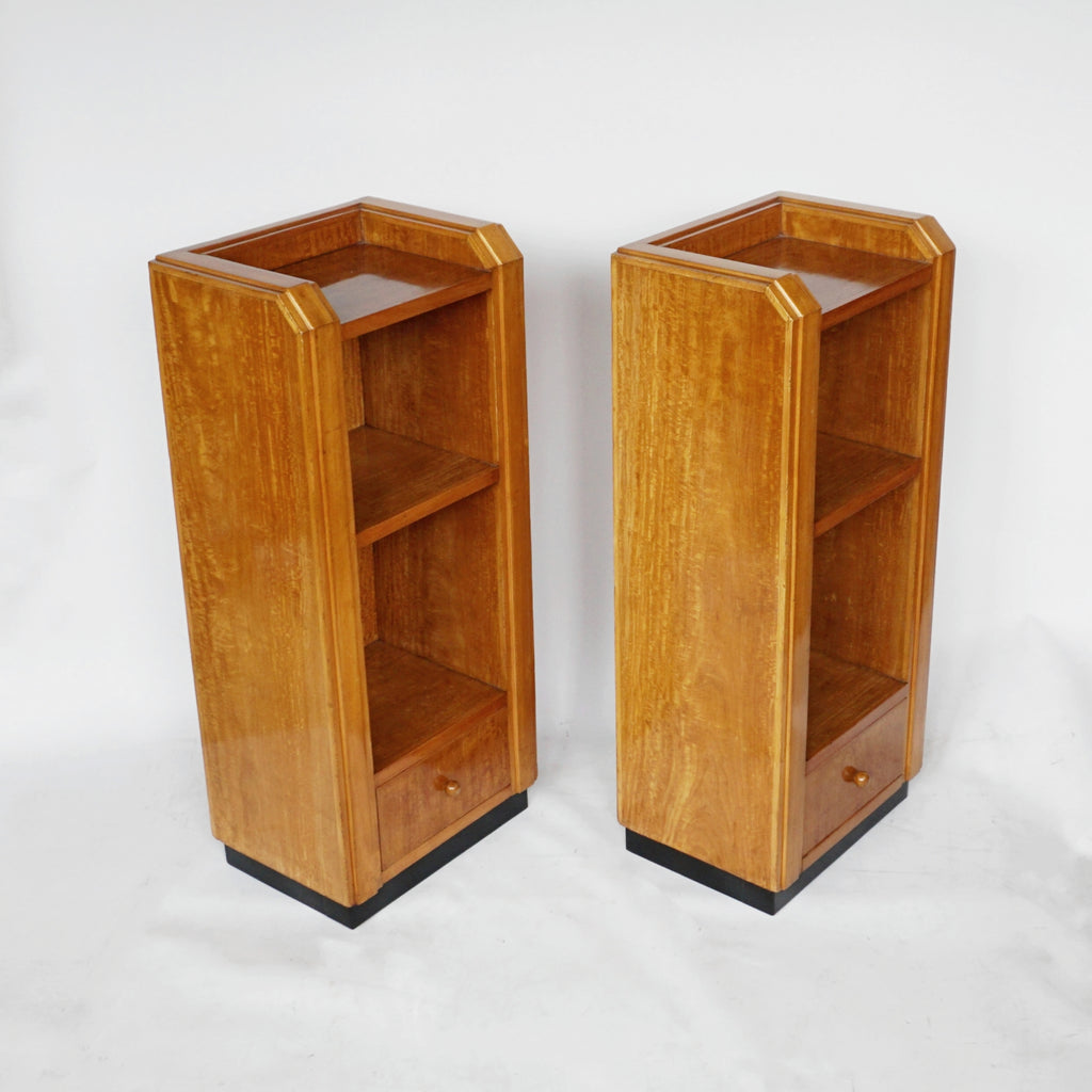 Pair of Bookcases