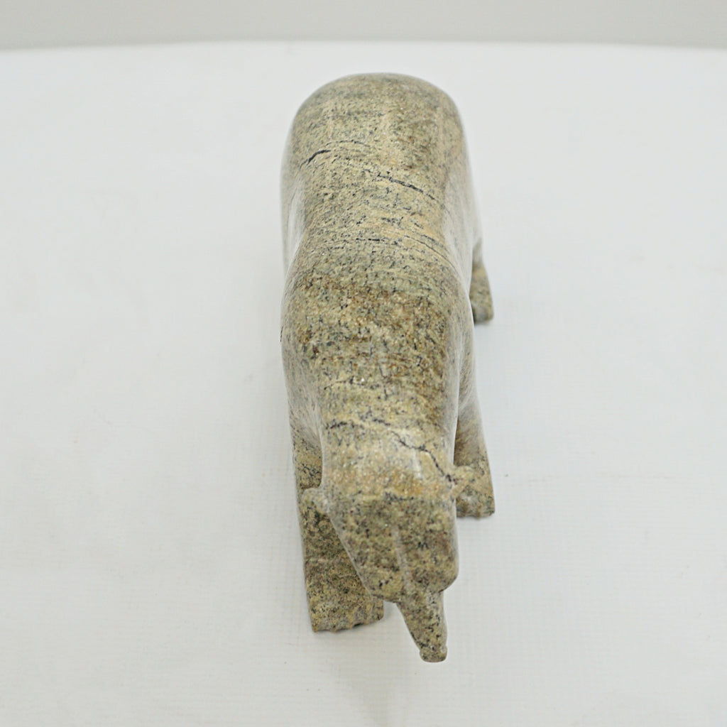 Original Contemporary Inuit Sculpture of a Carved Polar Bear in Serpentinite by Tim Pee - Jeroen Markies Art Deco