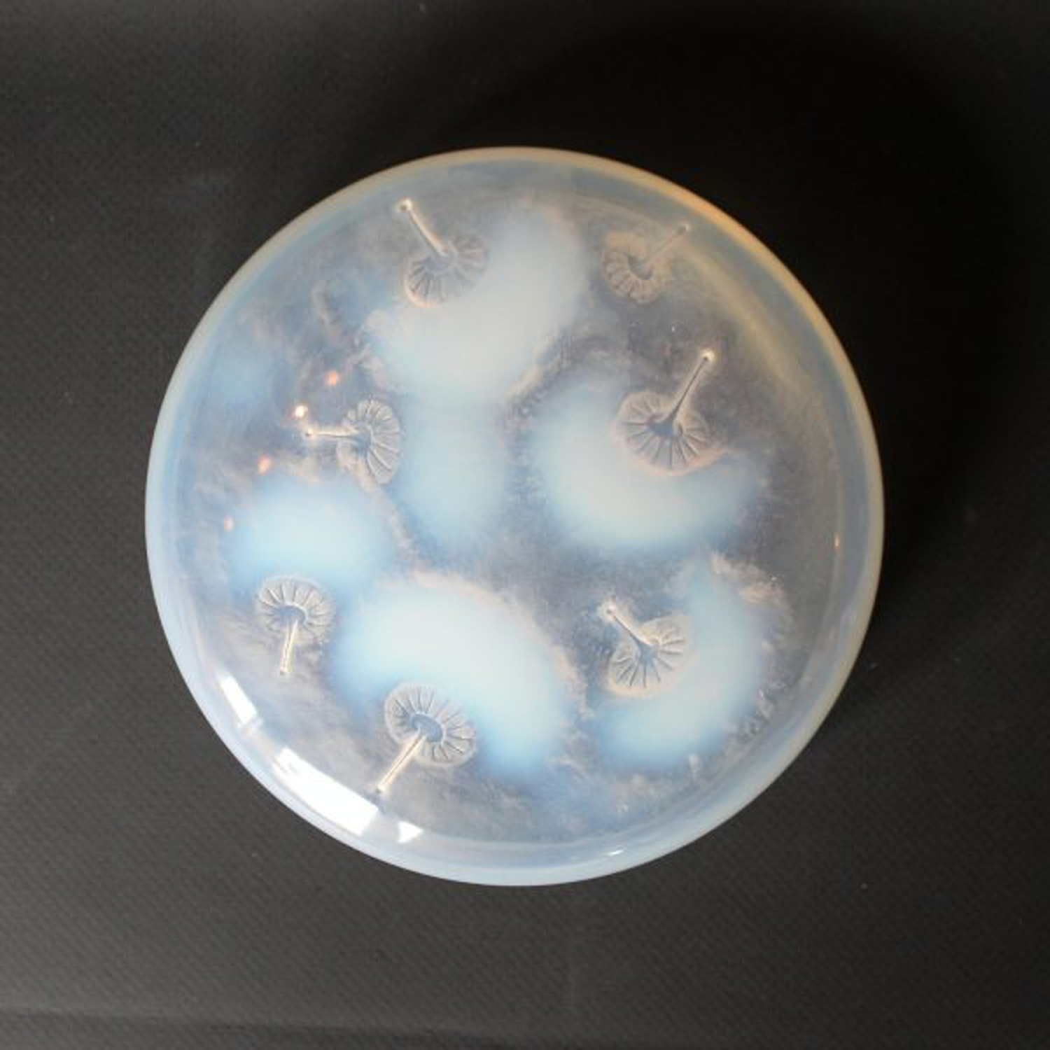 René Lalique Houppes Box