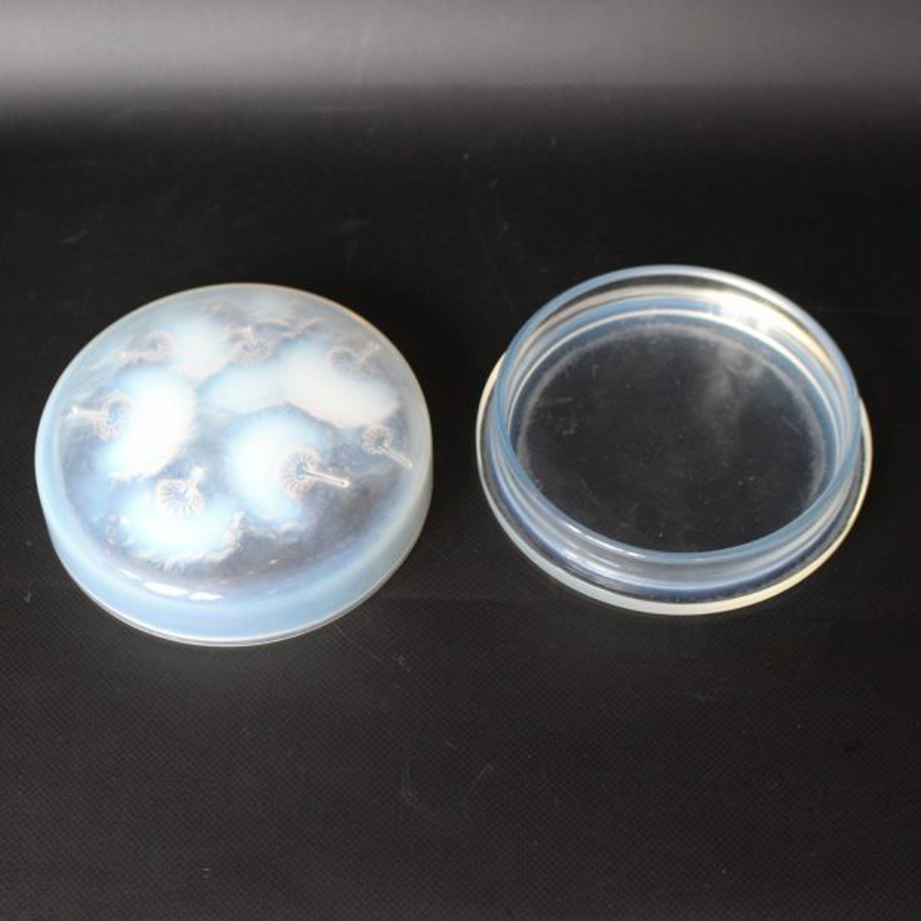 René Lalique Houppes Box