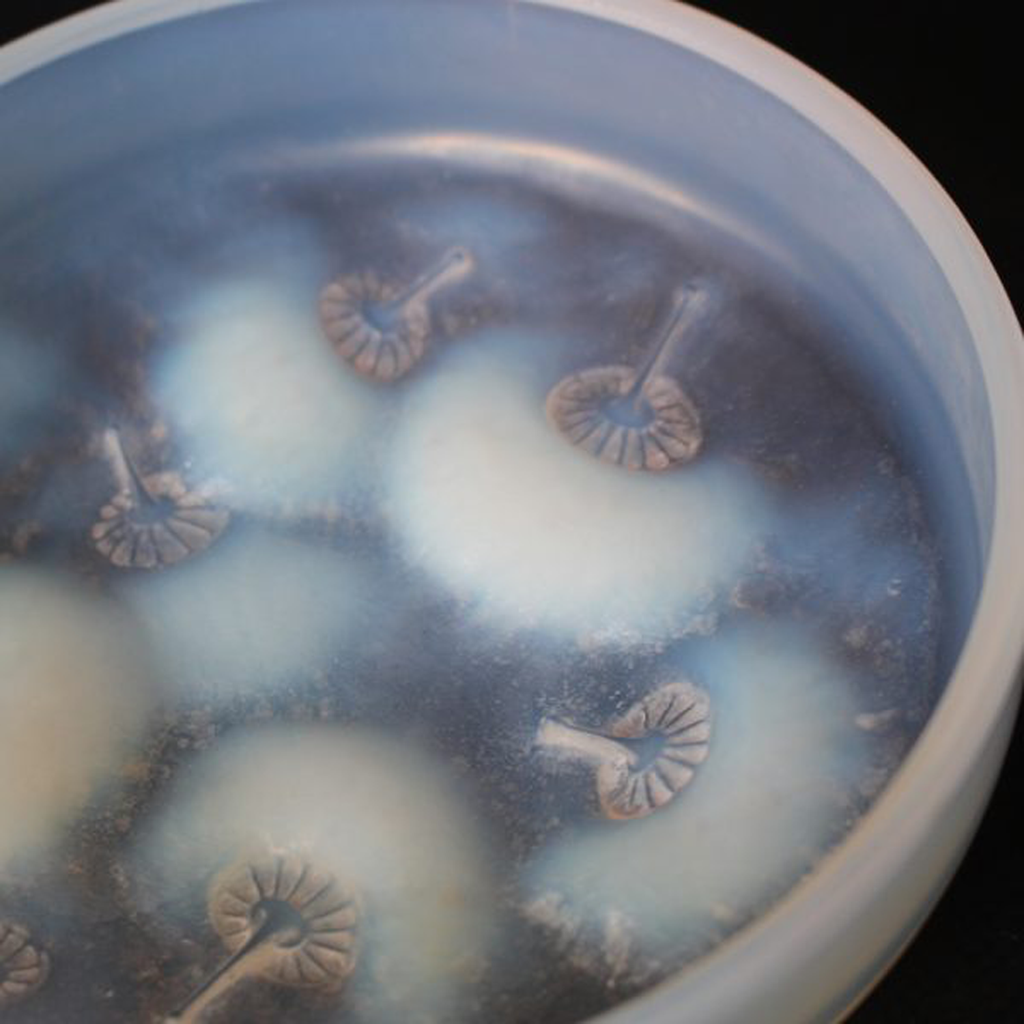 René Lalique Houppes Box