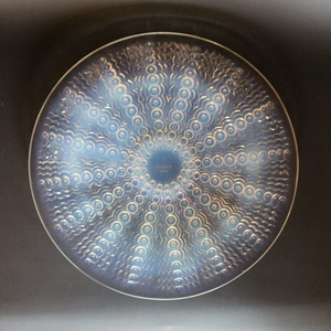 Oursins Plate