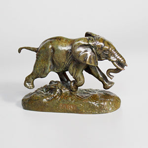 Elephant du Senegal