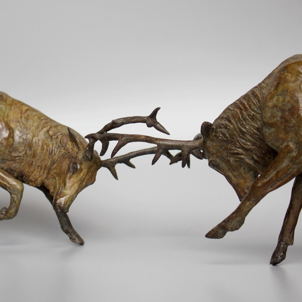 Fighting Stags