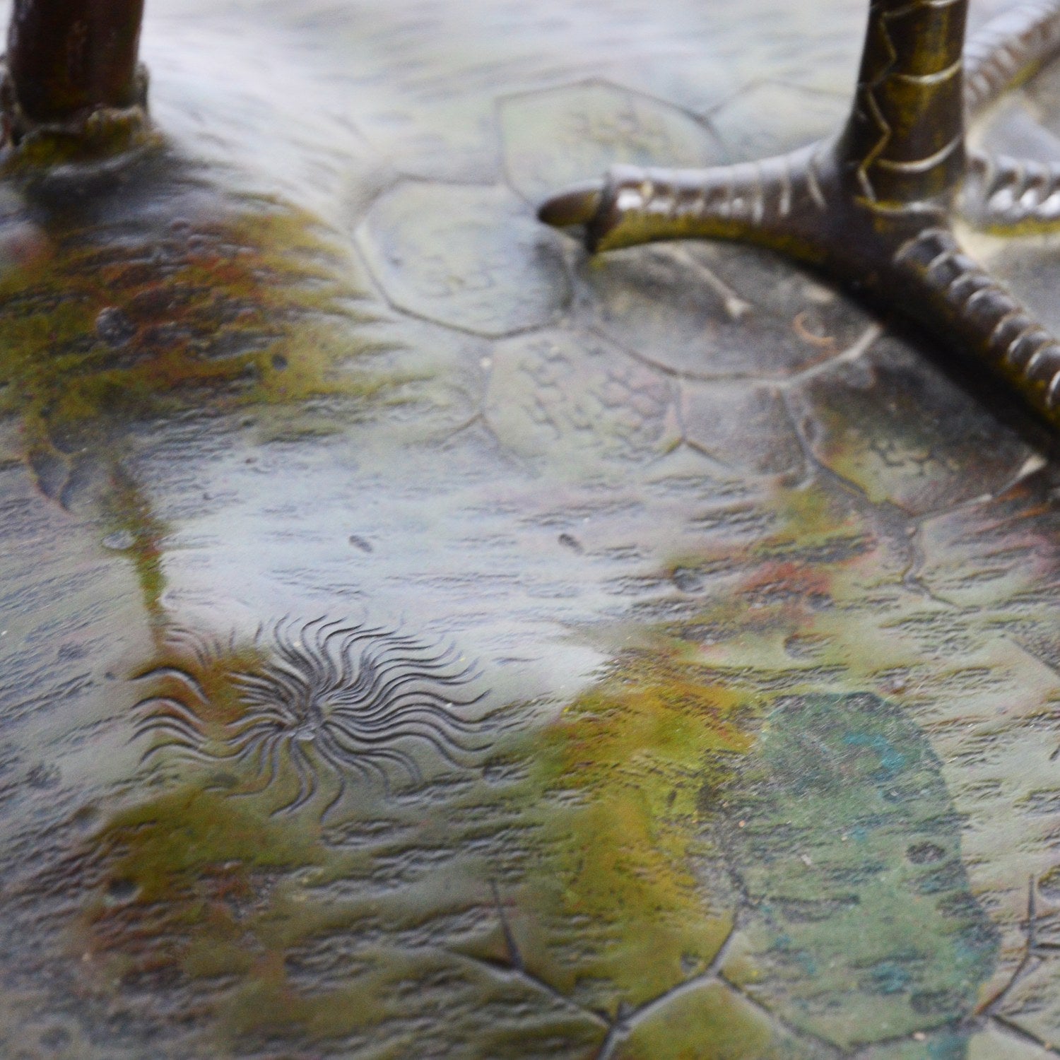 Stork Amongst the Lilies