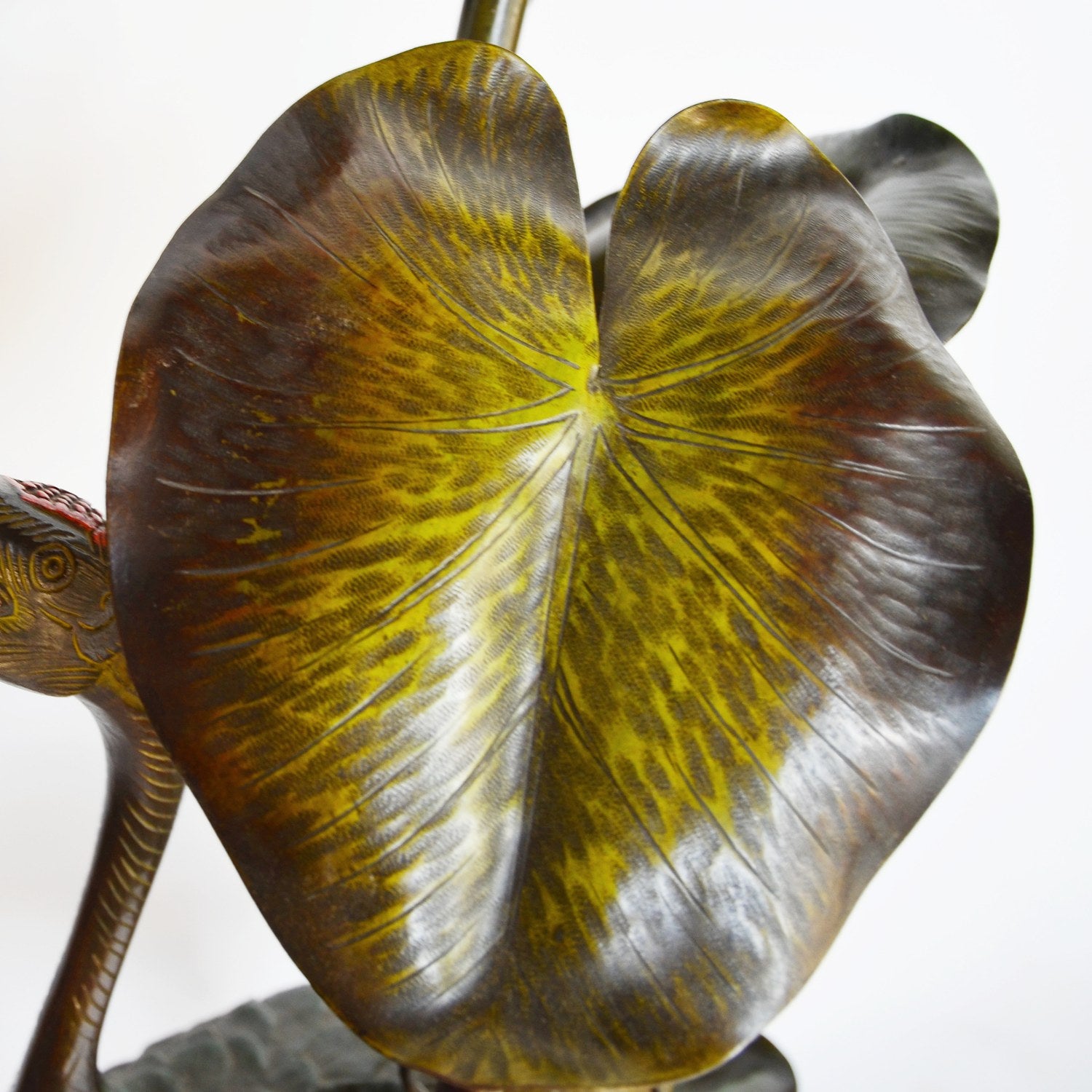 Stork Amongst the Lilies