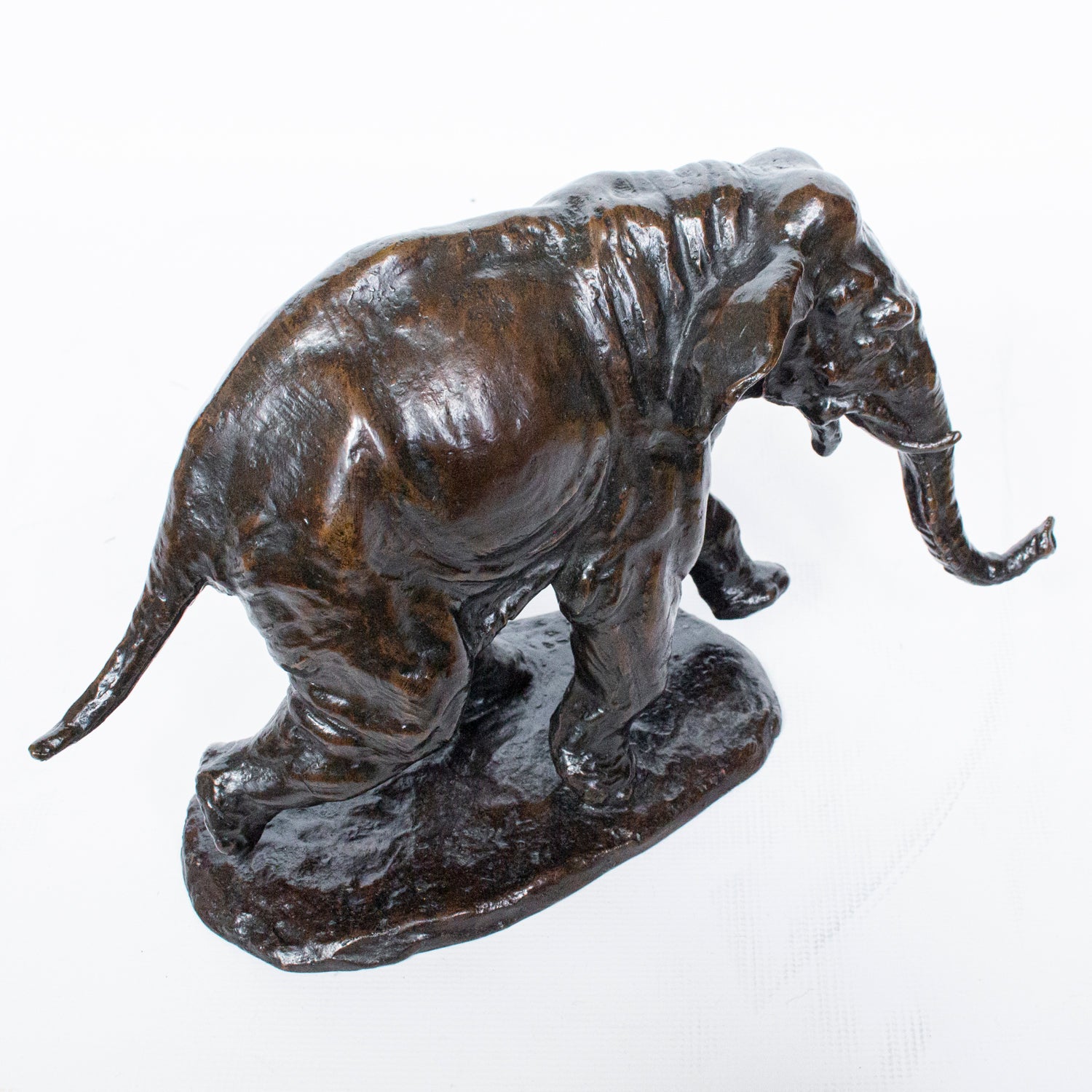 "Charging Elephant"
