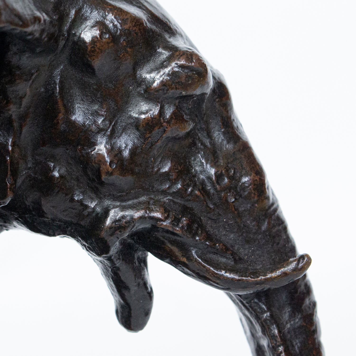 "Charging Elephant"