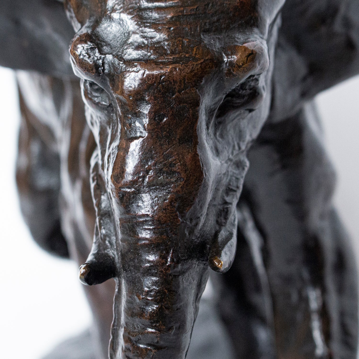 "Charging Elephant"