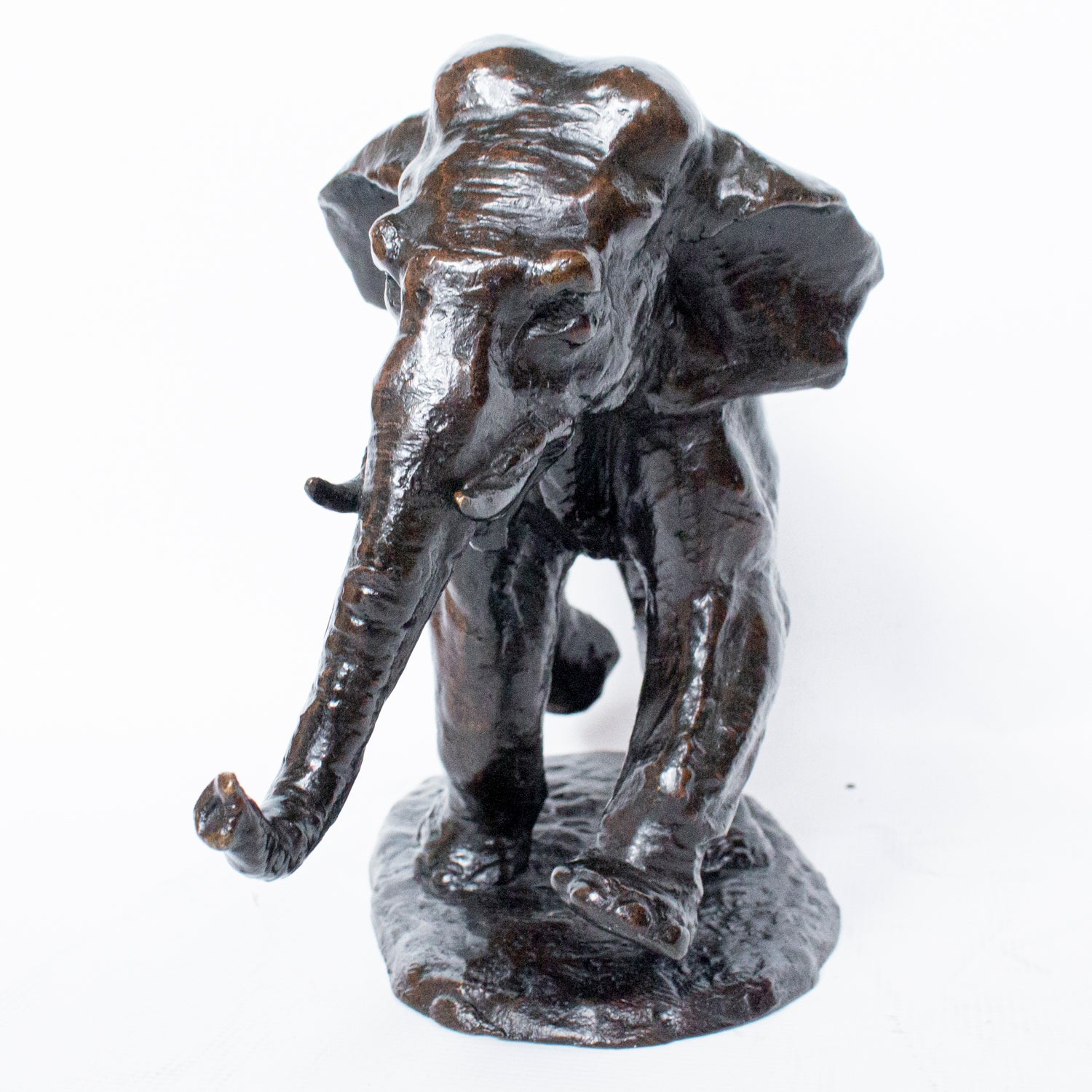 "Charging Elephant"