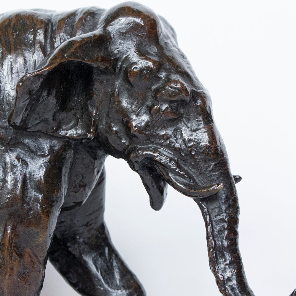 "Charging Elephant"