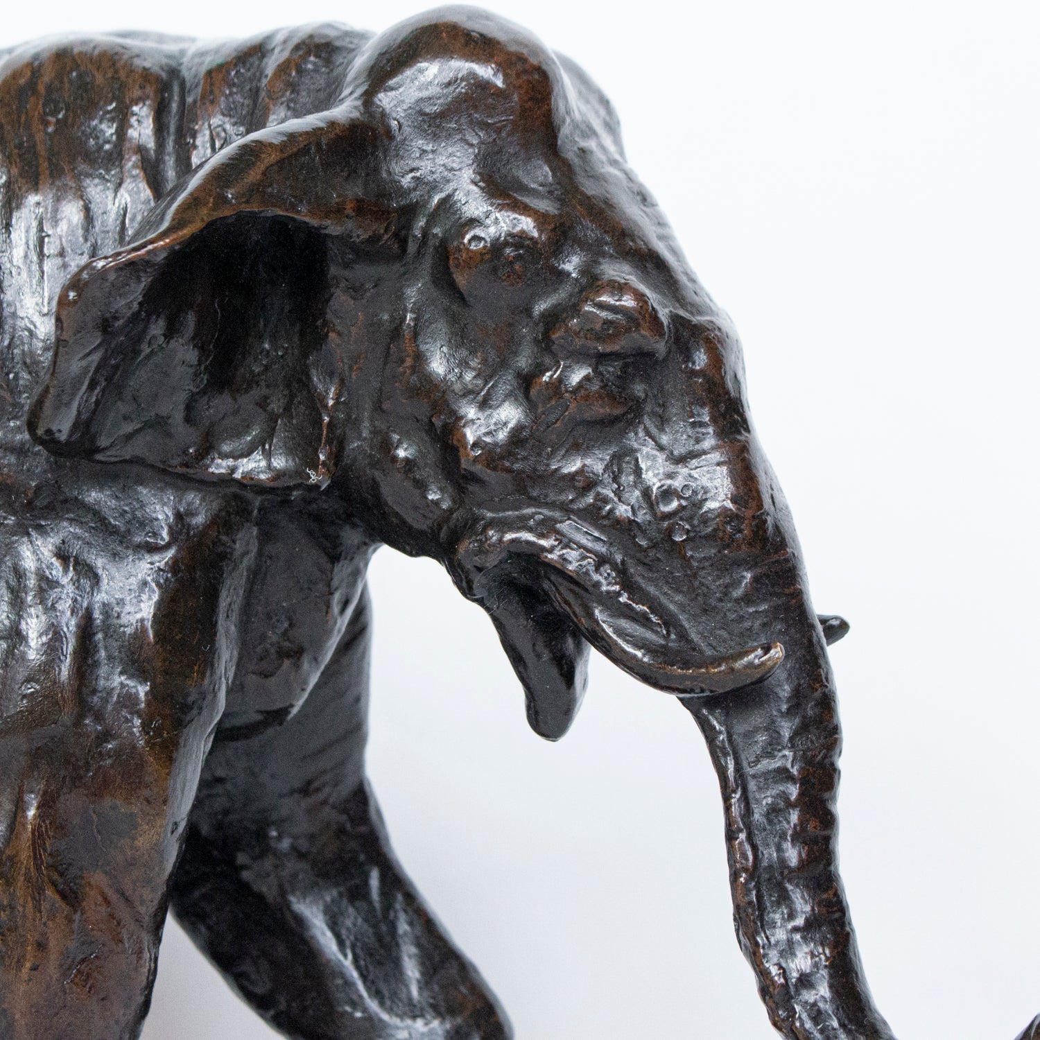 "Charging Elephant"
