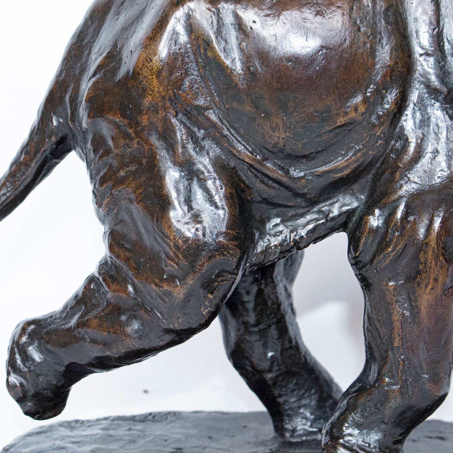 "Charging Elephant"