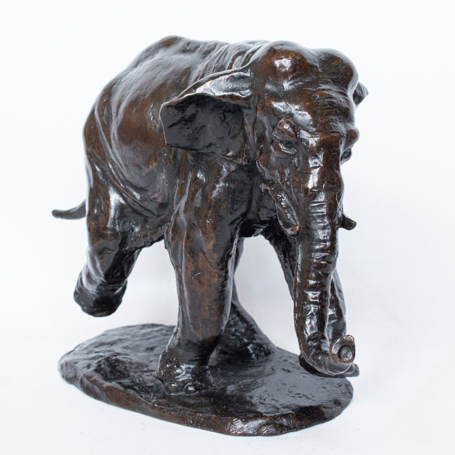 "Charging Elephant"