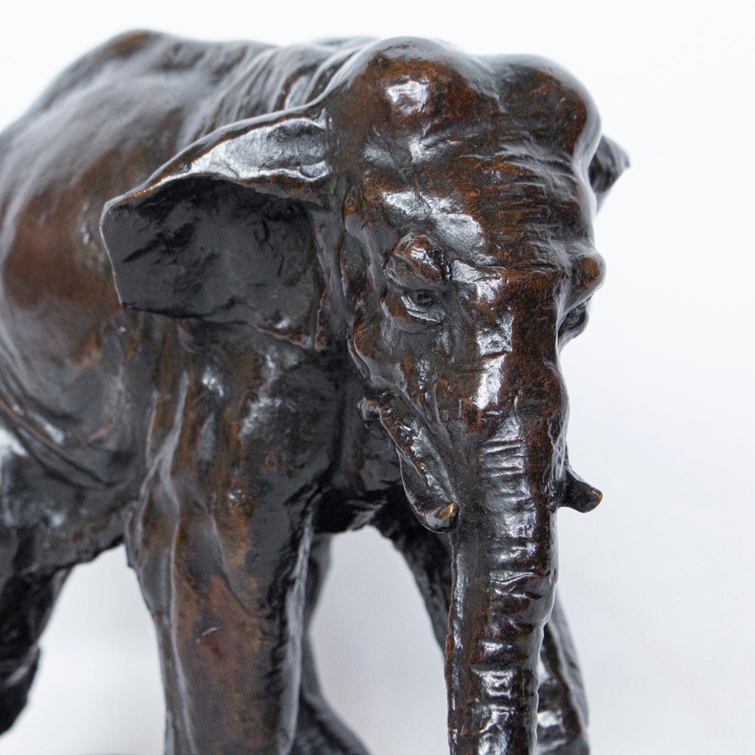 "Charging Elephant"