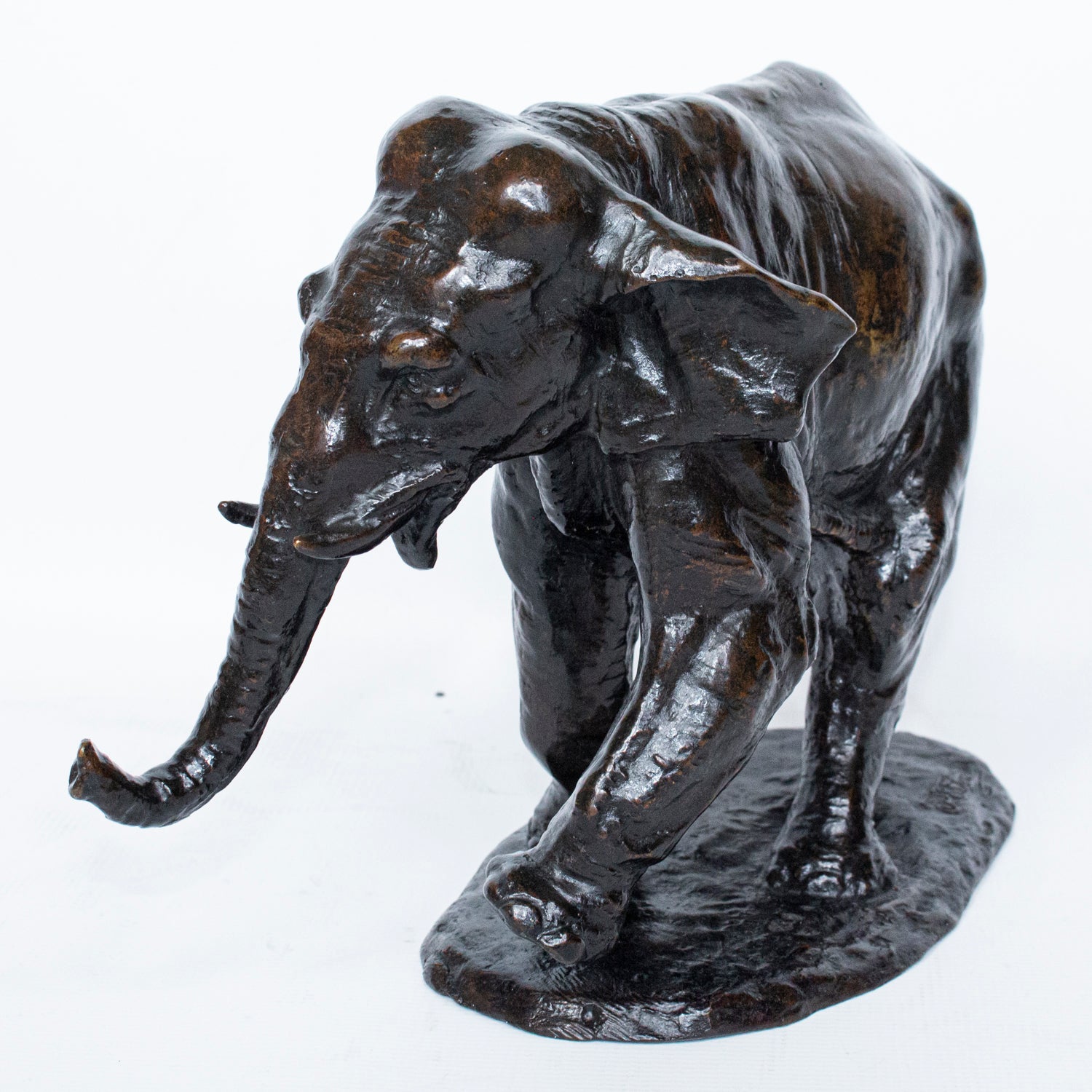 "Charging Elephant"