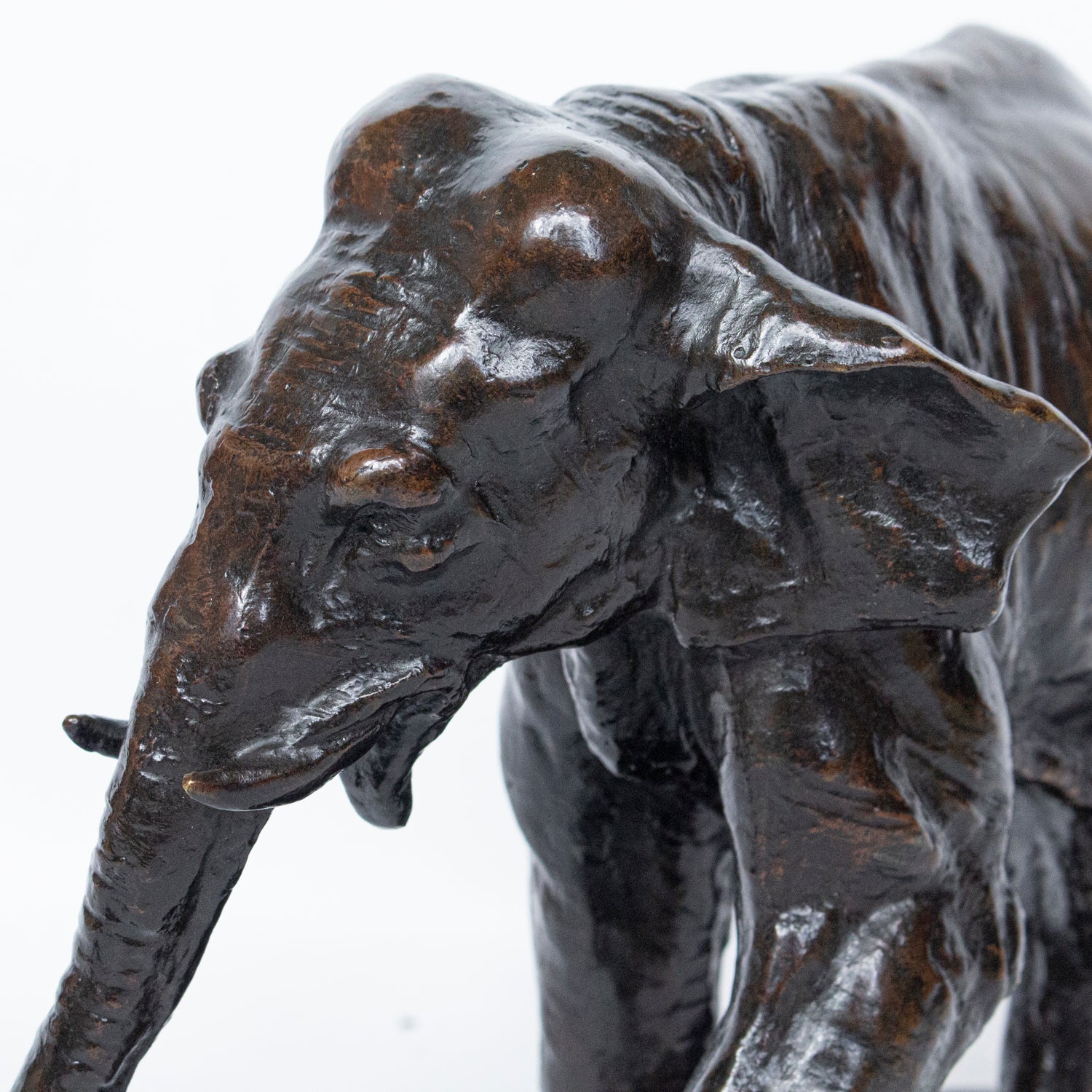 "Charging Elephant"