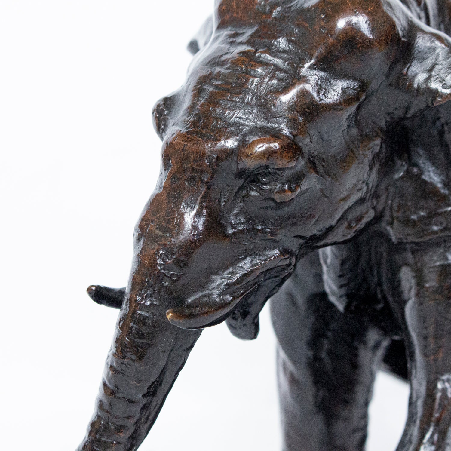 "Charging Elephant"