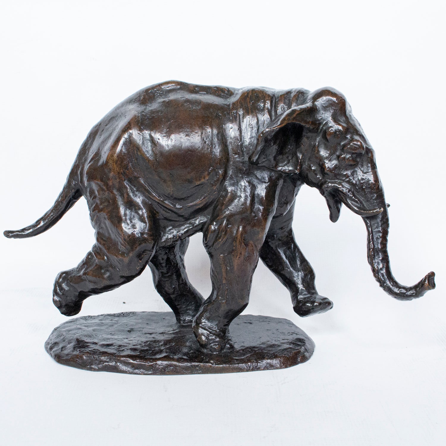 "Charging Elephant"