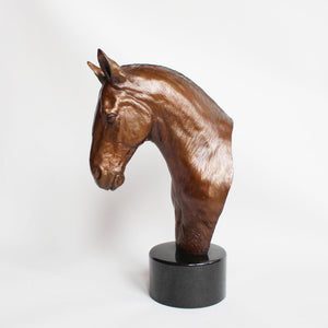 Cobb Horse Head