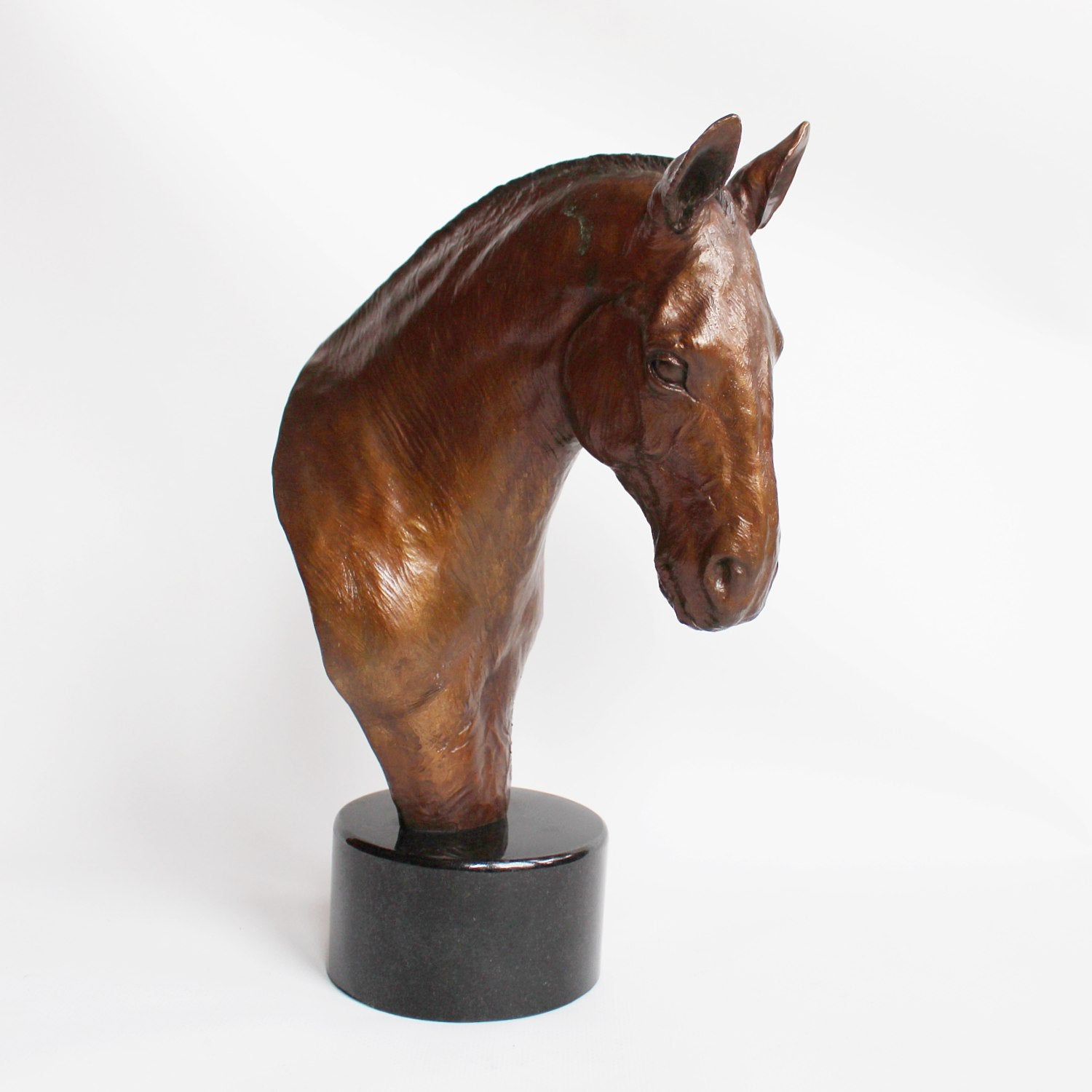 Stephen Winterburn sculpture of a Cobb Horse head at Jeroen Markies 