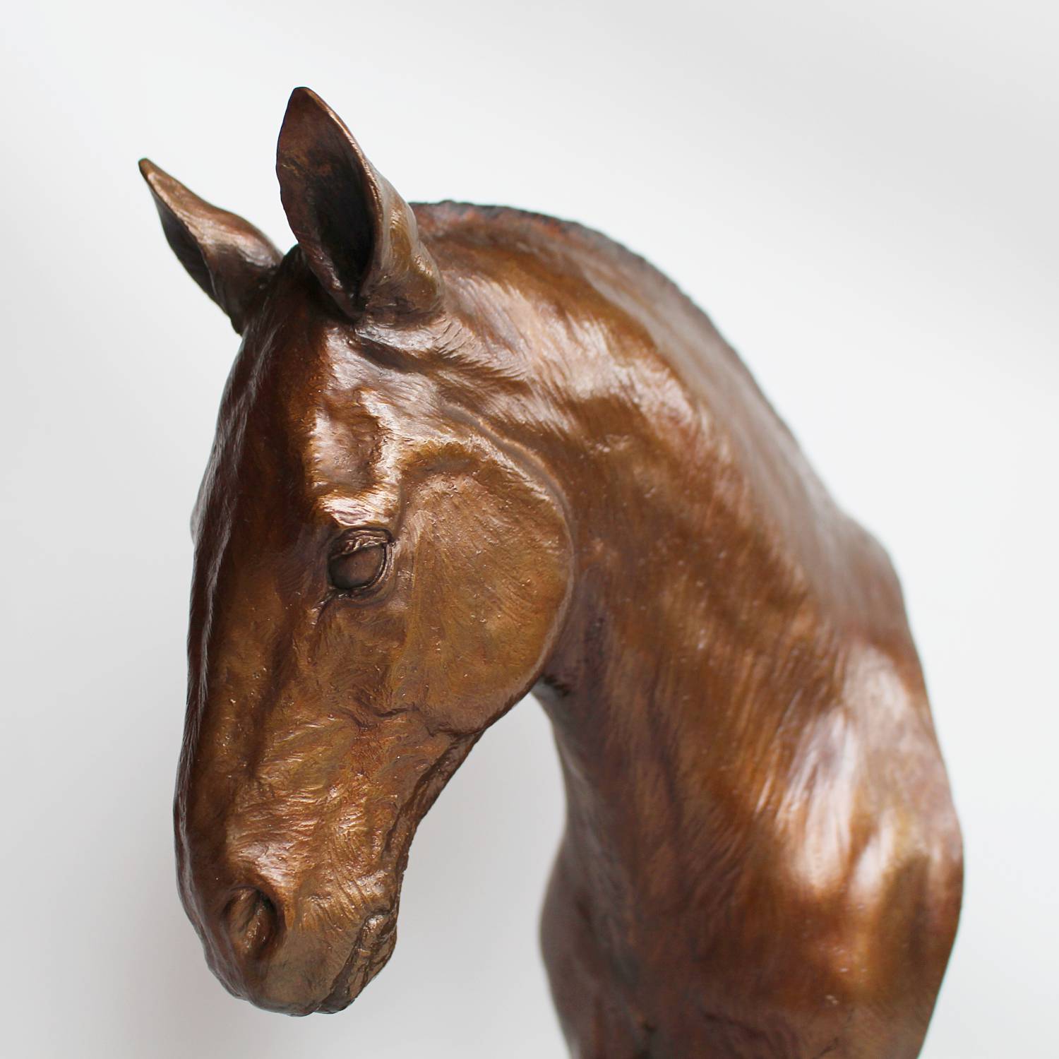 Stephen Winterburn sculpture of a Cobb Horse head at Jeroen Markies 