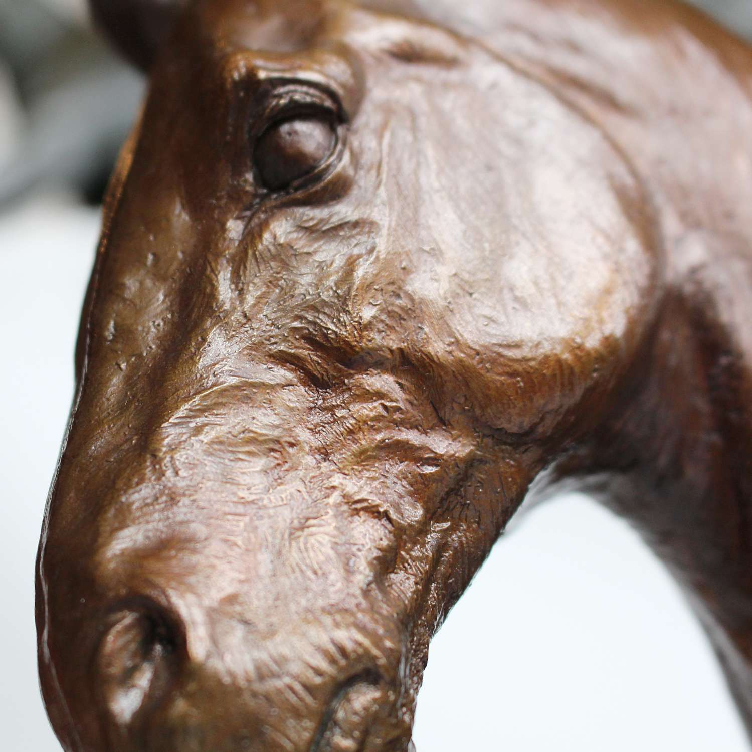 Stephen Winterburn sculpture of a Cobb Horse head at Jeroen Markies 